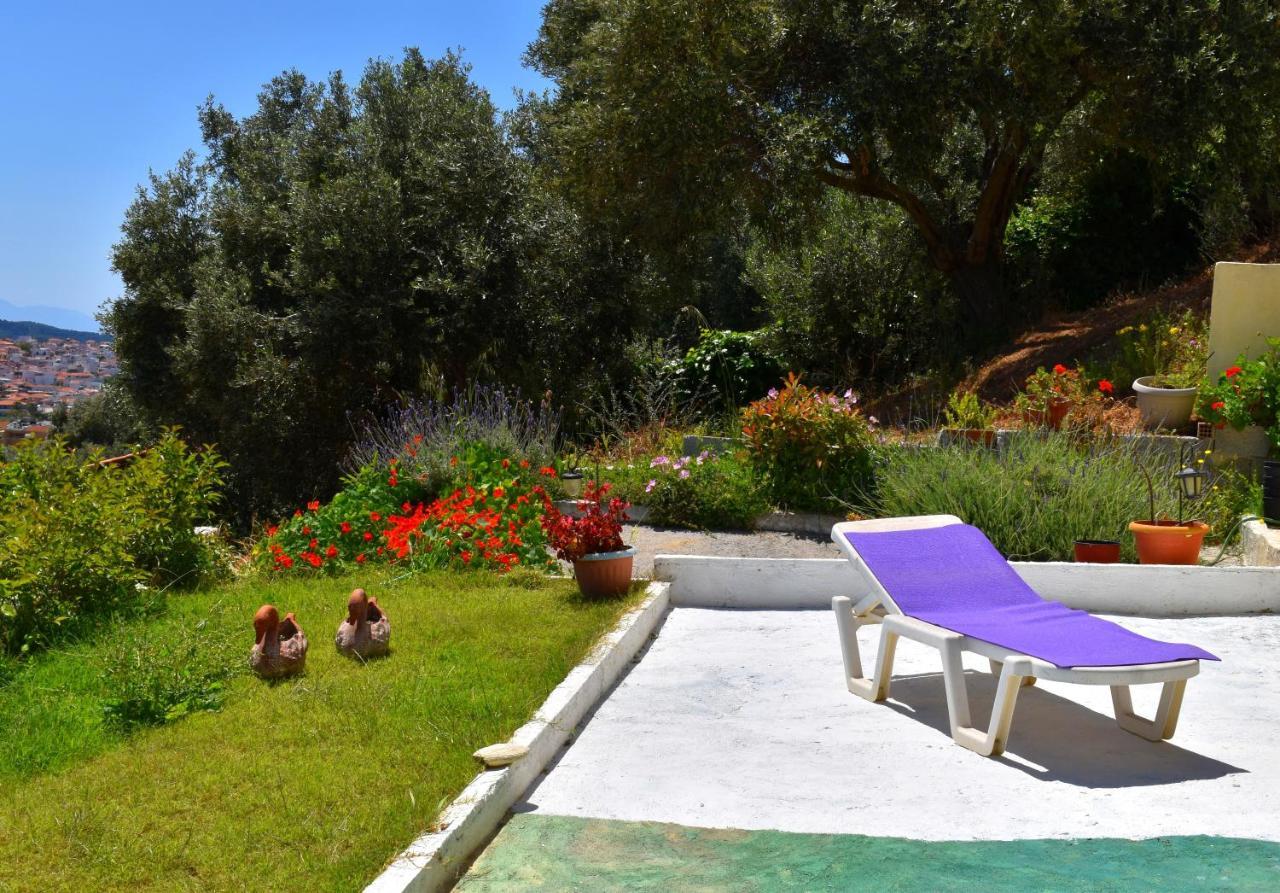 Villa Krini Skiathos Town Luaran gambar