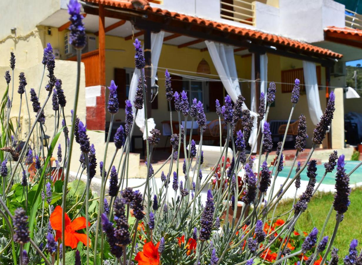 Villa Krini Skiathos Town Luaran gambar