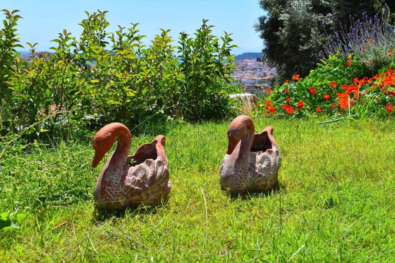 Villa Krini Skiathos Town Luaran gambar