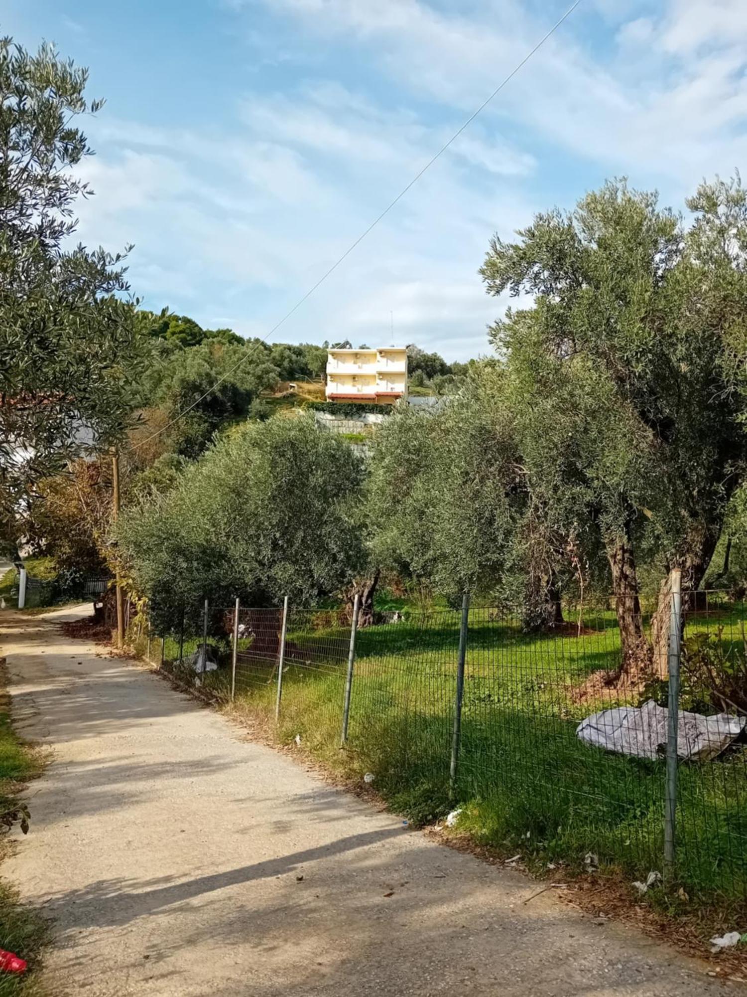 Villa Krini Skiathos Town Luaran gambar