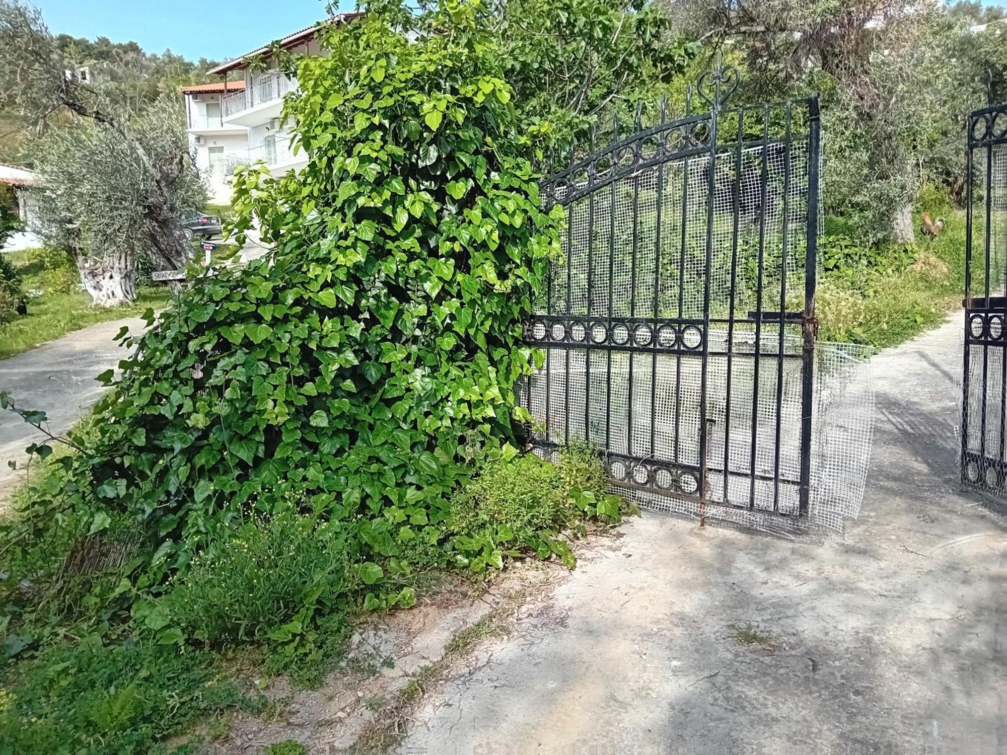 Villa Krini Skiathos Town Luaran gambar